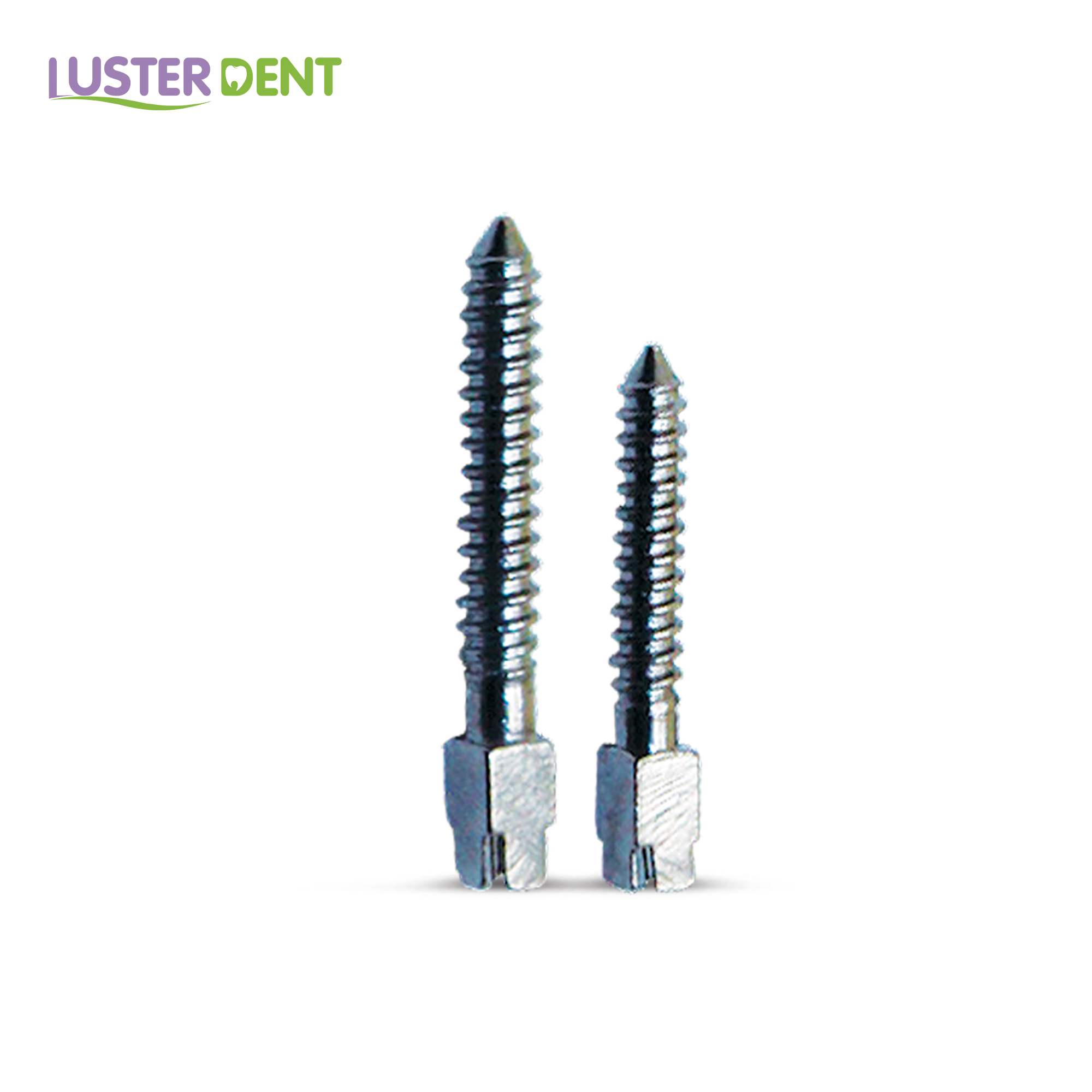 Stainless Steel Screw Post